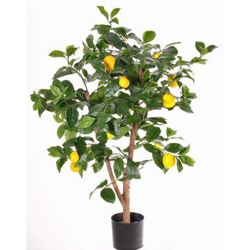 Limone sintetico ZYPRIAN, tronco vero, con frutti, verde, 85cm Limone sintetico ZYPRIAN, tronco vero, con frutti, verde, 85cm