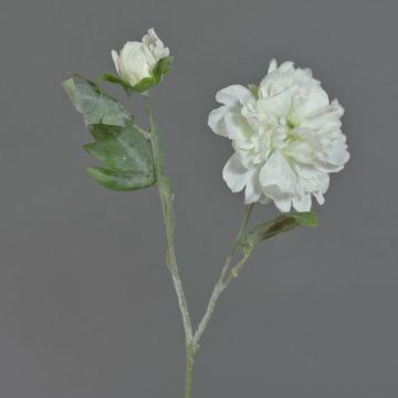 Peonia finta MALINE, innevato, crema, 60cm, Ø12cm Peonia finta MALINE, innevato, crema, 60cm, Ø12cm