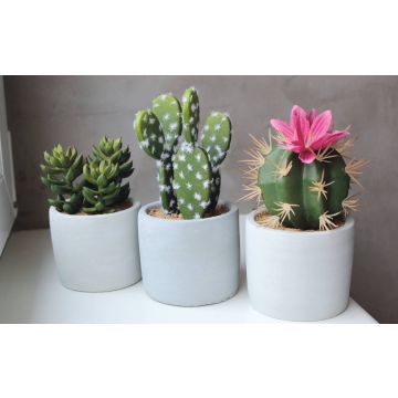 Succulente artificiali KATIA in vaso di cemento, 3 pezzi, multicolore, 12-16cm