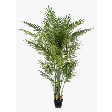Palma artificiale Areca LUVA, 170cm