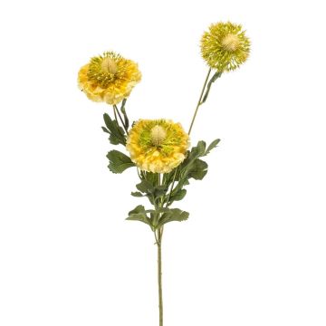 Ramo artificiale di Scabiosa caucasica ANAYS, giallo-verde, 80 cm Ramo artificiale di Scabiosa caucasica ANAYS, giallo-verde, 80 cm