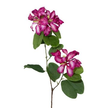 Ramo decorativo Bauhinia DRELMO, cerise, 85 cm