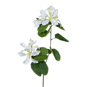 Ramo decorativo Bauhinia DRELMO, bianco, 85 cm