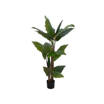 Pianta artificiale Alocasia Calidora PATRICIUS, verde, 140 cm