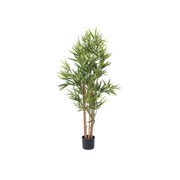 Bambù artificiale ELISSO, tronchi veri, verde, 120cm Bambù artificiale ELISSO, tronchi veri, verde, 120cm