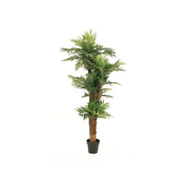Palma areca artificiale CYNTHIA, 170cm