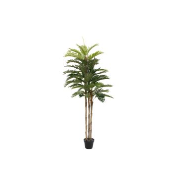 Palma kentia tessile JORGANA, 150cm