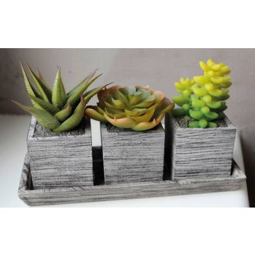 Composizione di succulente artificiali SYLVIA in vaso decorativo, verde, 19x7,5x11cm