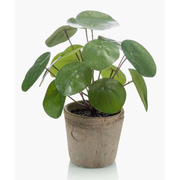 Pilea peperomioides artificiale SYBIL in vaso di terracotta, verde, 20cm