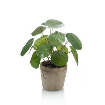 Pilea peperomioides artificiale SYBIL in vaso di terracotta, verde, 20cm