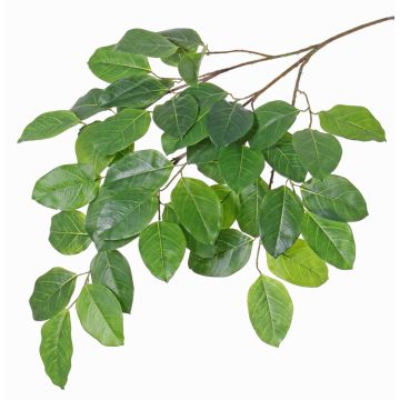 Ramo di baniano artificiale FARY, verde, 65cm Ramo di baniano artificiale FARY, verde, 65cm
