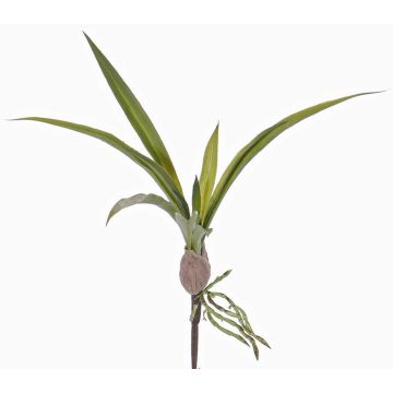 Foglie artificiali di orchidee oncidium HENNES, radici aeree, 25x40cm Foglie artificiali di orchidee oncidium HENNES, radici aeree, 25x40cm