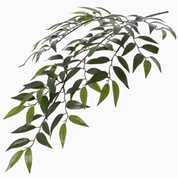 Ramo di smilax artificiale JURIA, verde, 70cm