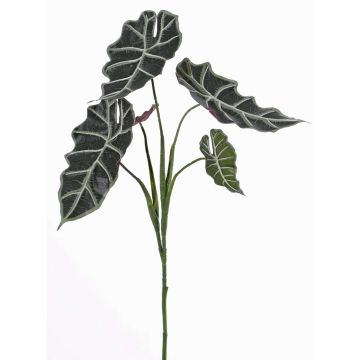 Alocasia sanderiana artificiale MATHEA su stelo, verde-bianco, 75cm Alocasia sanderiana artificiale MATHEA su stelo, verde-bianco, 75cm