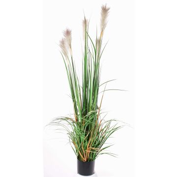 Cannuccia di palude finta EYOTA con pannocchie, verde-marrone, 150cm