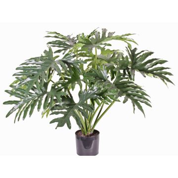 Filodendro selloum artificiale SILAS, 80cm Filodendro selloum artificiale SILAS, 80cm