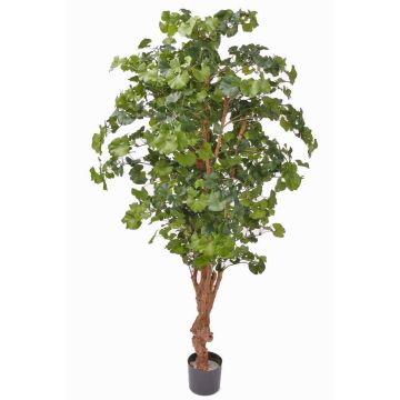 Ginkgo artificiale CAI, tronco naturale, 180cm Ginkgo artificiale CAI, tronco naturale, 180cm