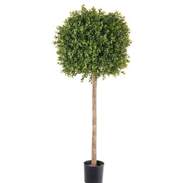 Bosso artificiale THORIS, tronco naturale, 105cm, Ø40cm
