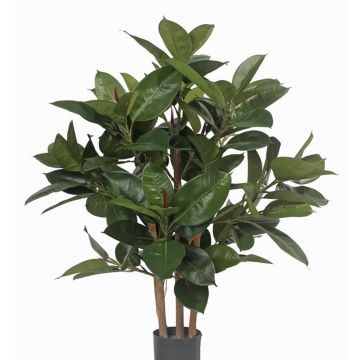 Albero della gomma artificiale KAYDEN, tronchi naturali, verde, 80cm