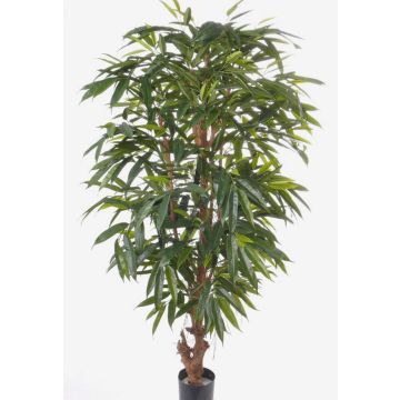 Longifolia artificiale MARLIT, tronco naturale, 180cm Longifolia artificiale MARLIT, tronco naturale, 180cm