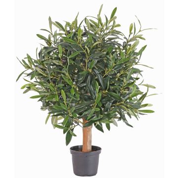 Olivo artificiale WYNONA, tronco naturale, frutti, 50cm Olivo artificiale WYNONA, tronco naturale, frutti, 50cm