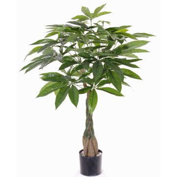 Pachira artificiale CASSIAN, tronco artificiale, 90cm Pachira artificiale CASSIAN, tronco artificiale, 90cm