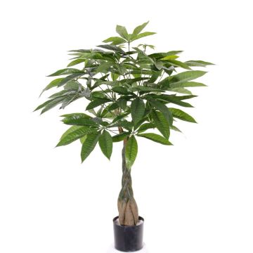 Pachira artificiale CASSIAN, tronco artificiale, 90cm