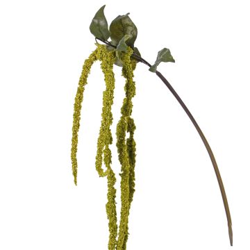 Ramo di amaranto artificiale YASIN, verde, 125cm Ramo di amaranto artificiale YASIN, verde, 125cm