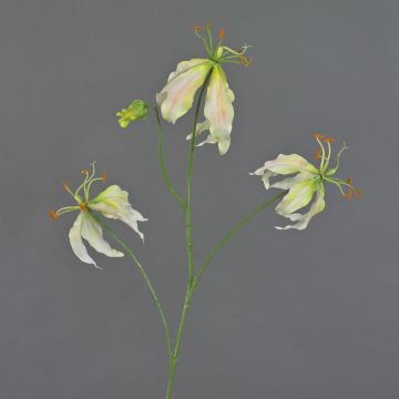 Gloriosa artificiale TIANA, rosa-verde, 80cm, Ø8-15cm