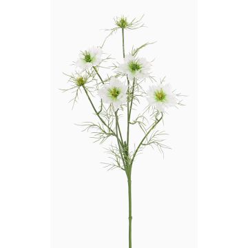 Cumino nero artificiale SEVIN, bianco-verde, 65cm, Ø6cm Cumino nero artificiale SEVIN, bianco-verde, 65cm, Ø6cm