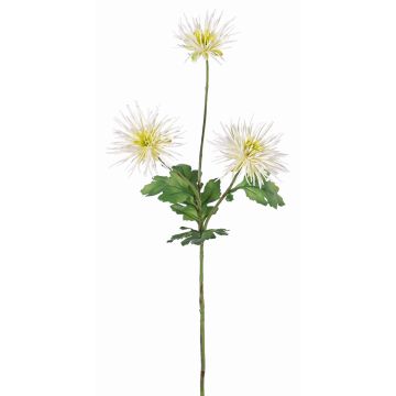 Crisantemo artificiale SOLVIE, crema, 70cm, Ø10cm Crisantemo artificiale SOLVIE, crema, 70cm, Ø10cm