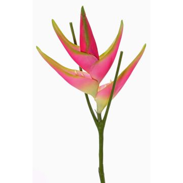 Speronella artificiale TOMKE, fucsia-verde, 80cm, Ø30cm Speronella artificiale TOMKE, fucsia-verde, 80cm, Ø30cm