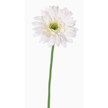 Gerbera artificiale HELLI, crema, 65cm, Ø12cm