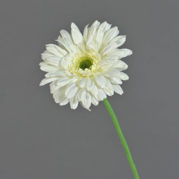 Gerbera artificiale HELLI, crema, 65cm, Ø12cm