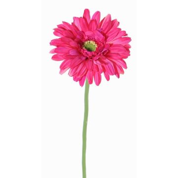 Gerbera artificiale HELLI, fucsia, 65cm, Ø12cm Gerbera artificiale HELLI, fucsia, 65cm, Ø12cm
