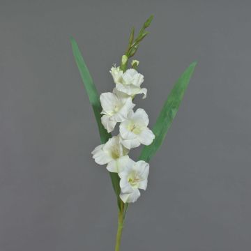 Gladiolo artificiale ELEA, bianco, 85cm, Ø3-10cm