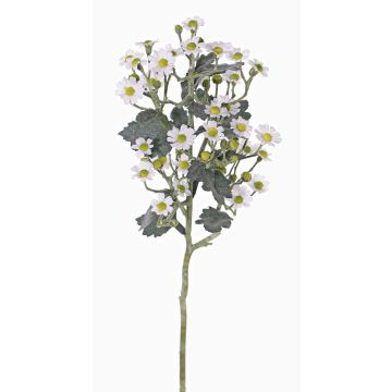 Partenio artificiale FEMKE, bianco, 60cm, Ø1,5-2cm