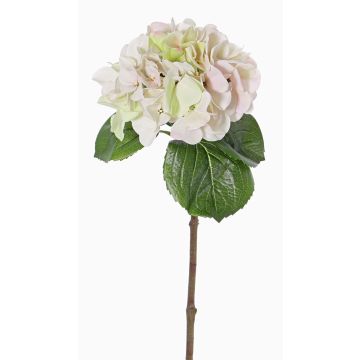 Ortensia finta CHIDORI, crema-rosa, 60cm, Ø20cm