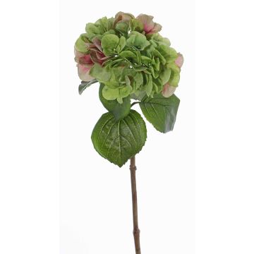 Ortensia finta CHIDORI, verde-rosa, 60cm, Ø20cm