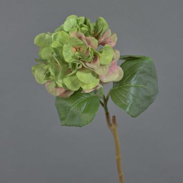 Ortensia finta CHIDORI, verde-rosa, 60cm, Ø20cm