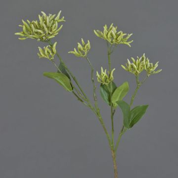 Ramo di corniolo artificiale JOSIA con boccioli, bianco-verde, 50cm Ramo di corniolo artificiale JOSIA con boccioli, bianco-verde, 50cm