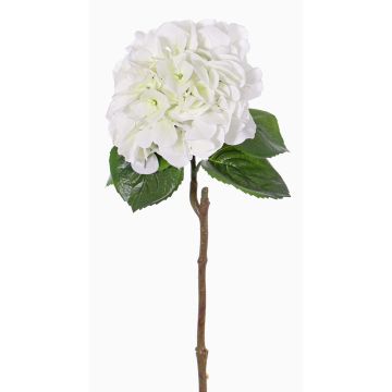 Ortensia finta CHIDORI, bianco-verde, 60cm, Ø20cm Ortensia finta CHIDORI, bianco-verde, 60cm, Ø20cm