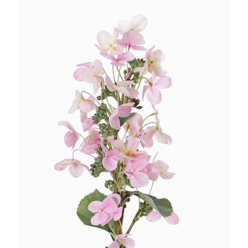 Ortensia paniculata artificiale CHADORA, rosa-giallo, 70cm, Ø12cm Ortensia paniculata artificiale CHADORA, rosa-giallo, 70cm, Ø12cm