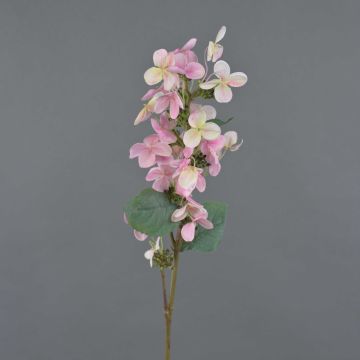 Ortensia paniculata artificiale CHADORA, rosa, 75cm, Ø15cm