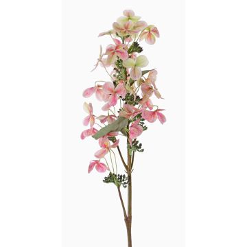 Ortensia paniculata artificiale CHADORA, fucsia-verde, 70cm, Ø12cm Ortensia paniculata artificiale CHADORA, fucsia-verde, 70cm, Ø12cm