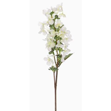 Ortensia paniculata artificiale CHADORA, bianco-verde, 70cm, Ø12cm Ortensia paniculata artificiale CHADORA, bianco-verde, 70cm, Ø12cm