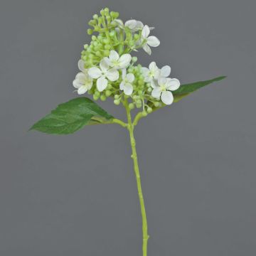 Ortensia artificiale CHABY, bianco-verde, 30cm, Ø9cm