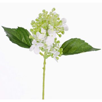 Ortensia artificiale CHABY, bianco-verde, 30cm, Ø9cm Ortensia artificiale CHABY, bianco-verde, 30cm, Ø9cm