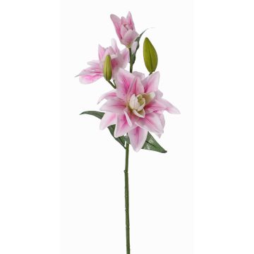 Giglio artificiale ISALIE, rosa-bianco, 80cm, Ø15cm Giglio artificiale ISALIE, rosa-bianco, 80cm, Ø15cm