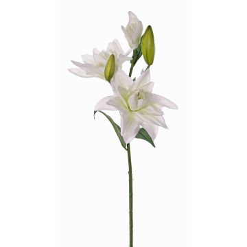Giglio artificiale ISALIE, bianco-verde, 80cm, Ø15cm Giglio artificiale ISALIE, bianco-verde, 80cm, Ø15cm